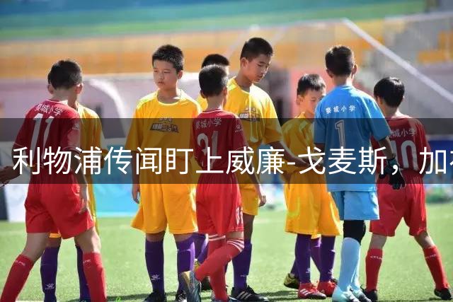 利物浦传闻盯上威廉-戈麦斯，加布里埃尔-梅克将加盟波尔图